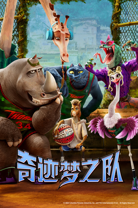 奇迹梦之队